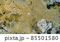 Marble texture of white and gold color. Luxurious abstract fluid art painting on the background of the technique of alcohol ink in black and gold colors. 85501580