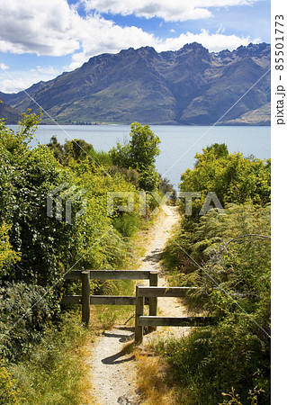 ニュージーランド南島 ドリフトベイ ピクニックエリア ニュージーランド南島 ドリフトベイ ピクニックエリア 85501773