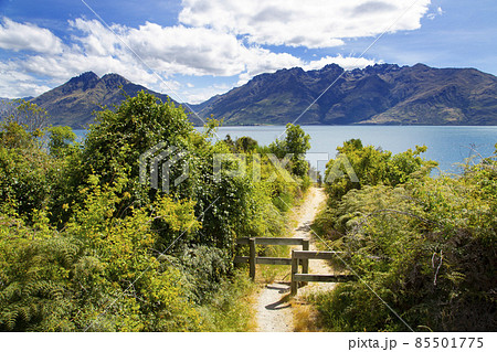 ニュージーランド南島 ドリフトベイ ピクニックエリア ニュージーランド南島 ドリフトベイ ピクニックエリア 85501775