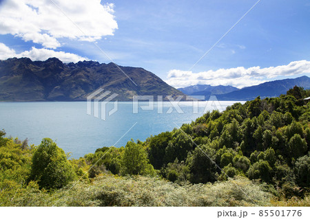 ニュージーランド南島 ドリフトベイ ピクニックエリア ニュージーランド南島 ドリフトベイ ピクニックエリア 85501776