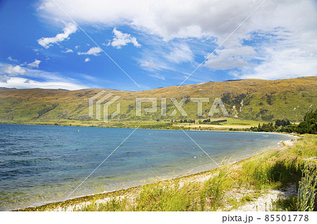 ニュージーランド南島 ドリフトベイ ピクニックエリア ニュージーランド南島 ドリフトベイ ピクニックエリア 85501778