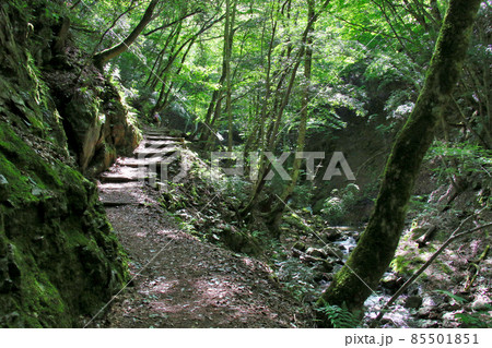 天滝　兵庫県養父市大屋町にある日本の滝100選の名瀑　そこから流れる渓流天滝川に沿った急峻な登山道 85501851