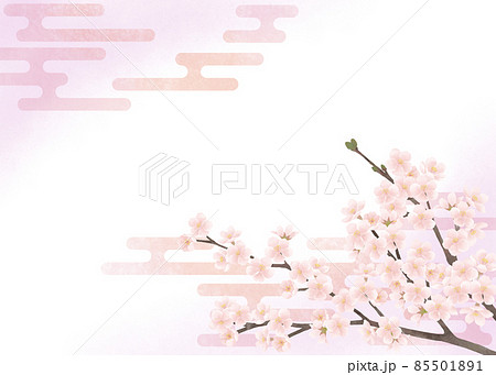 桜をモチーフにした和風背景素材 桜をモチーフにした和風背景素材 85501891