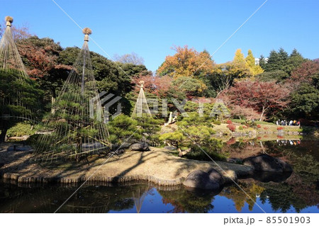 旧古河庭園 85501903