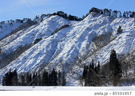 厳冬の日差しを浴びる雪崩斜面-只見湖 福島県只見町 厳冬の日差しを浴びる雪崩斜面-只見湖 福島県只見町 85501957