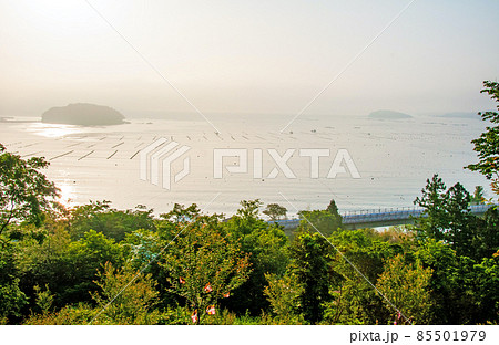 みちのく潮風トレイル　志津川　海の見える命の森公園から眺める志津川湾の朝 85501979