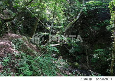 天滝　兵庫県養父市大屋町にある日本の滝100選の名瀑　そこから流れる渓流天滝川沿いの登山道を下ると橋 85502014