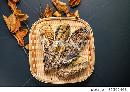 冬が旬真牡蠣 冬が旬真牡蠣 85502468