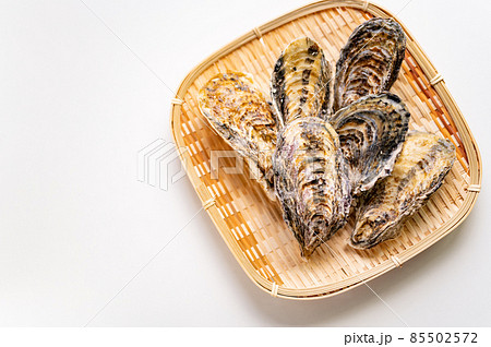 冬が旬真牡蠣 85502572