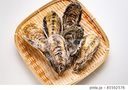 冬が旬真牡蠣 冬が旬真牡蠣 85502576