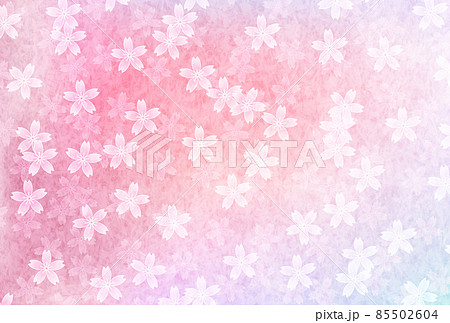 桜　菊　水彩　背景 85502604