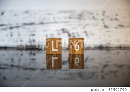 ビジネスイメージ（IT用語編）ブロック文字L6 85502749