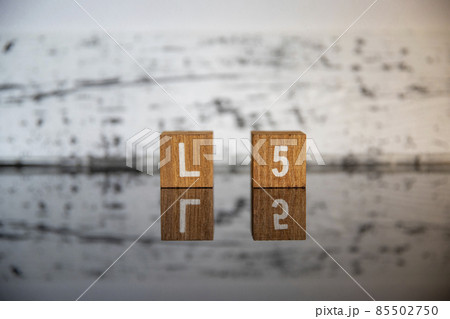 ビジネスイメージ（IT用語編）ブロック文字L5 85502750