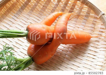 セクシーなニンジン 85502765