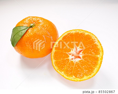 ミカン　みかん 85502867