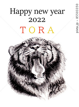 2022年寅年のとら細密画イラスト文字入り 2022年寅年のとら細密画イラスト文字入り 85503350