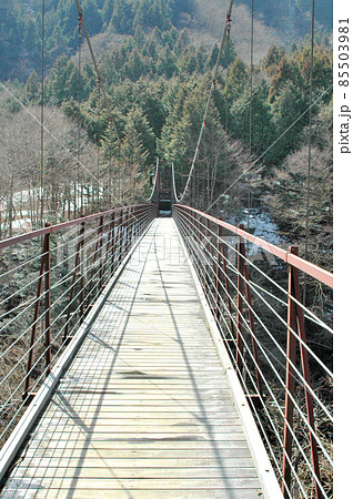冬の野原吊橋 冬の野原吊橋 85503981