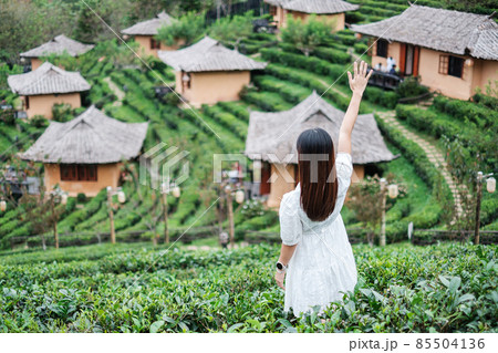 Happy tourist woman in white dress enjoy beautiful Tea garden.Traveler visiting in Ban Rak Thai village, Mae Hong Son, Thailand. travel, vacation and holiday concept Happy tourist woman in white dress enjoy beautiful Tea garden.Traveler visiting in Ban Rak Thai village, Mae Hong Son, Thailand. travel, vacation and holiday concept 85504136