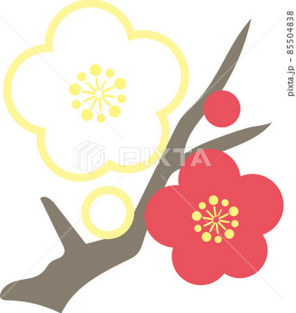1月のイメージイラスト_梅_紅白 1月のイメージイラスト_梅_紅白 85504838
