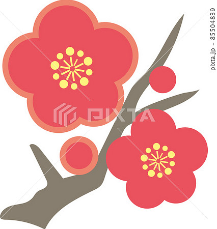 1月のイメージイラスト_梅_紅梅 1月のイメージイラスト_梅_紅梅 85504839