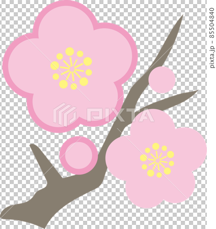 一月圖像插圖_plum_pink 85504840