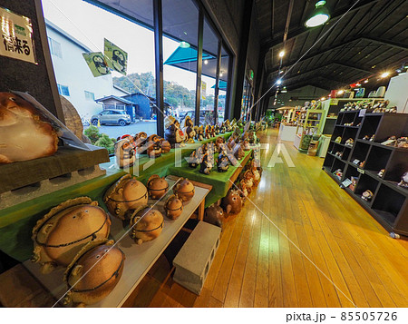 たぬきの町信楽焼「信楽たぬきの日」 85505726