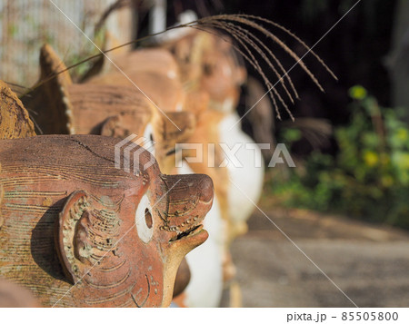 たぬきの町信楽焼「信楽たぬきの日」 たぬきの町信楽焼「信楽たぬきの日」 85505800