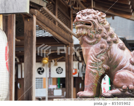 たぬきの町信楽焼「信楽たぬきの日」 たぬきの町信楽焼「信楽たぬきの日」 85505902