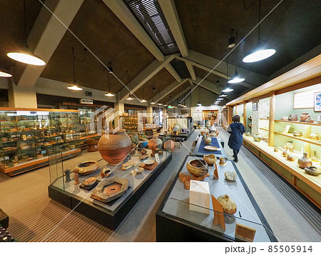 たぬきの町信楽焼「信楽たぬきの日」 85505914