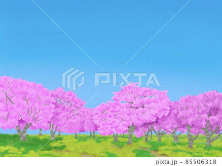 桜の風景 ソメイヨシノ 桜の風景 ソメイヨシノ 85506318