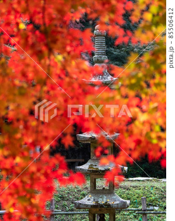 河内長野市の秘境 延命寺の紅葉 85506412
