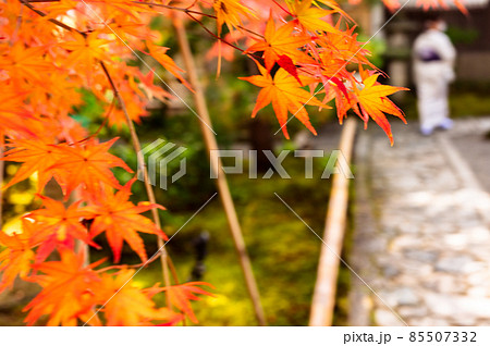 鮮やかなモミジと遠くの着物姿の女性、秋の京都、美しい紅葉、和を感じる瞬間 鮮やかなモミジと遠くの着物姿の女性、秋の京都、美しい紅葉、和を感じる瞬間 85507332