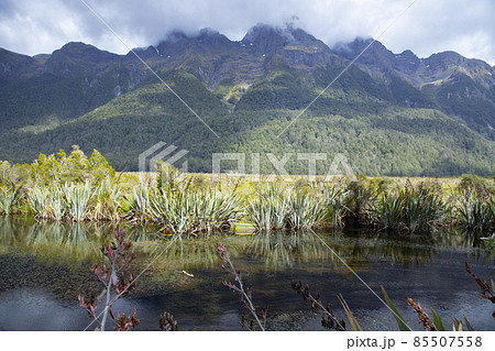 ニュージーランド南島 ミラーレイクス ニュージーランド南島 ミラーレイクス 85507558