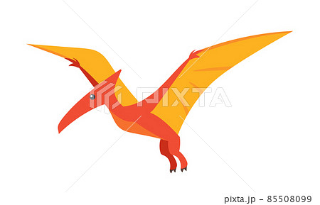 Pterodactyl or pteranodon. Flying prehistoric reptile vector illustration.  Stock Vector