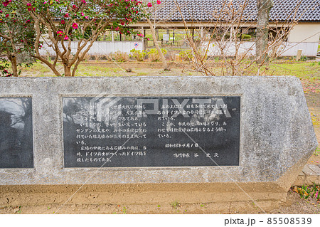 坂東俘虜収容所跡地(ドイツ村公園) 85508539