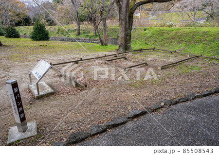 坂東俘虜収容所跡地(ドイツ村公園) 85508543