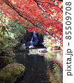 紅葉と滝 85509708