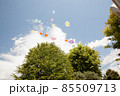 青空とバルーンリリース 85509713