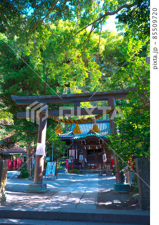 鎌倉最古の厄除け神社として知られる、鎌倉市大町の神社、八雲神社 鎌倉最古の厄除け神社として知られる、鎌倉市大町の神社、八雲神社 85509720