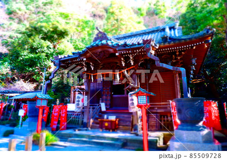 鎌倉最古の厄除け神社として知られる、鎌倉市大町の神社、八雲神社 85509728