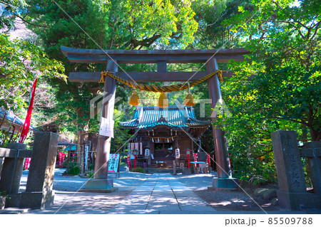 鎌倉最古の厄除け神社として知られる、鎌倉市大町の神社、八雲神社 85509788