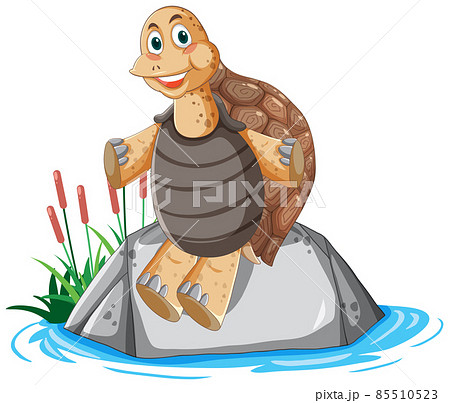 Tortoise With Brown Shell Sitting On A Rockのイラスト素材