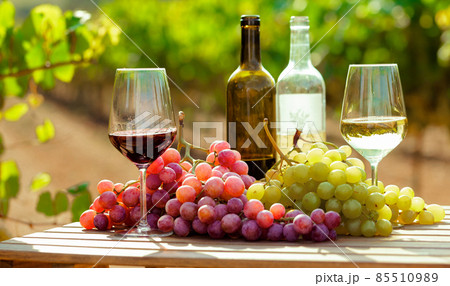 still life with glasses of red and white wine and grapes in field of vineyard still life with glasses of red and white wine and grapes in field of vineyard 85510989