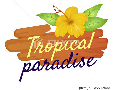 Tropical paradise logo. Hibiscus flower on wooden sign 85512088