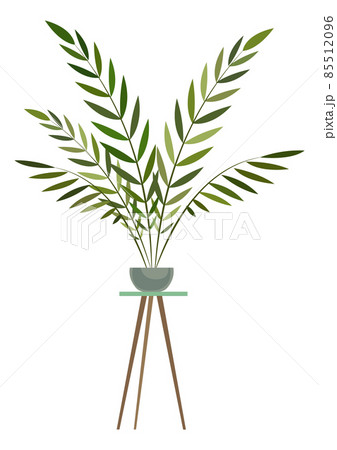 Exotic plant on pot stand. Urban jungle houseplant Exotic plant on pot stand. Urban jungle houseplant 85512096
