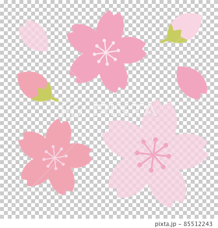 花卉草圖 Weeping cherry blossom sumi-e vector illustration - Stock