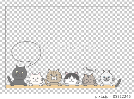 一個裝滿貓的框架 一個裝滿貓的框架 85512246