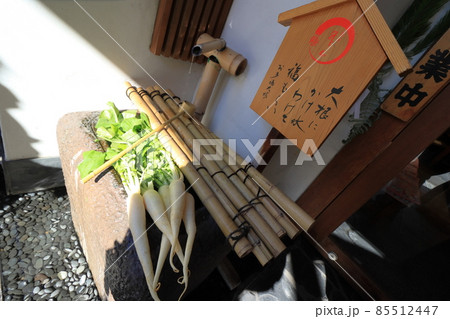 亀戸大根 江戸東京野菜 亀戸大根 江戸東京野菜 85512447