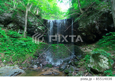 真夏の岩井滝の全景3 岡山県苫田郡鏡野町 真夏の岩井滝の全景3 岡山県苫田郡鏡野町 85514036