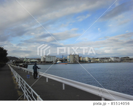 根岸港 横浜市磯子区 根岸港 横浜市磯子区 85514056